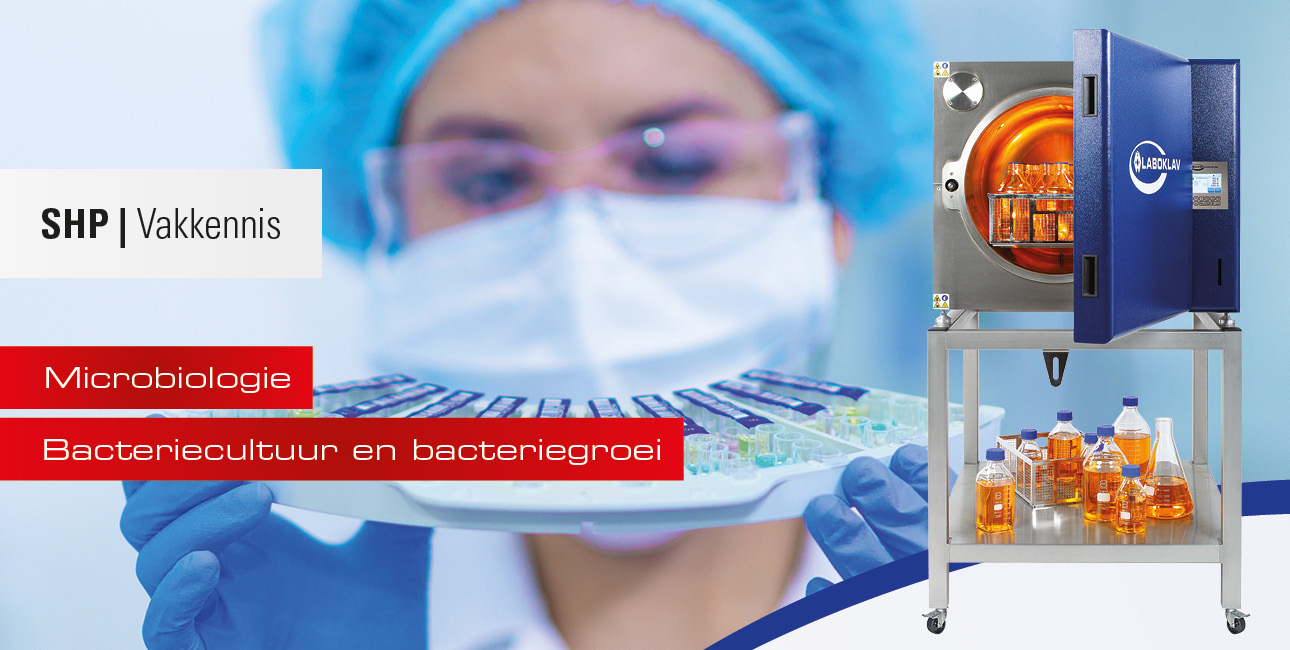 Bacteriecultuur en bacteriegroei