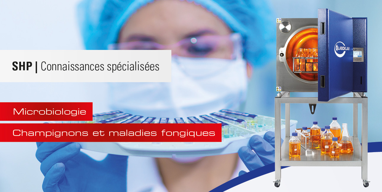 Champignons et maladies fongiques