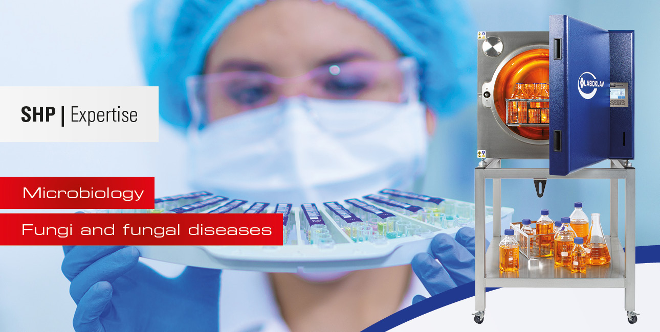 Fungi and fungal diseases