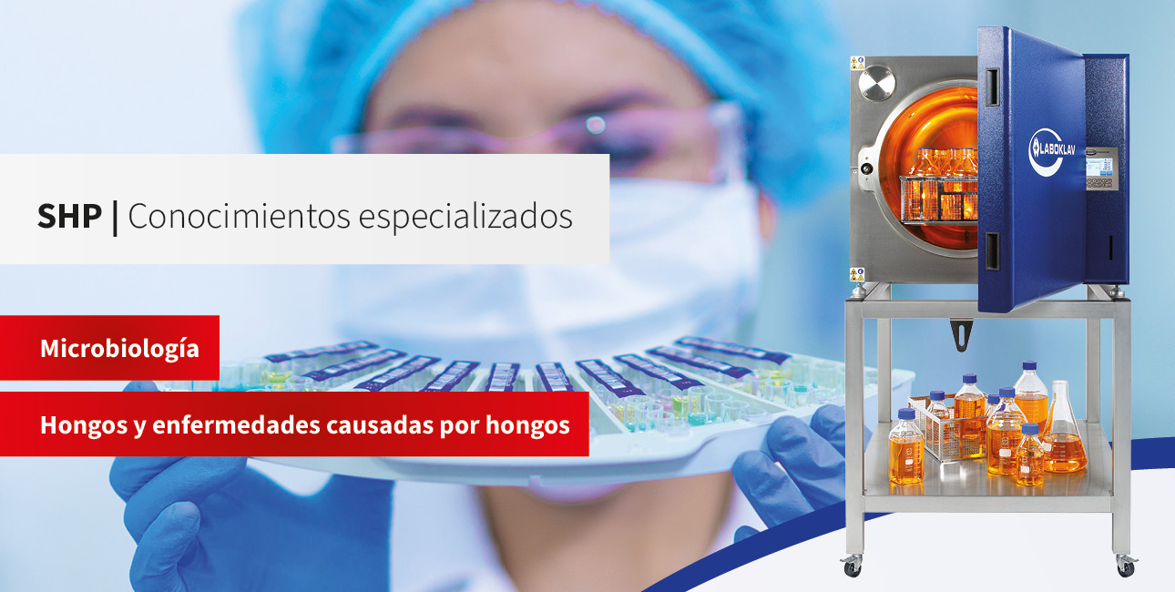 Hongos y enfermedades causadas por hongos