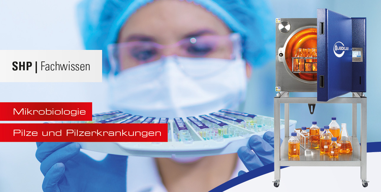 Pilze und Pilzerkrankungen