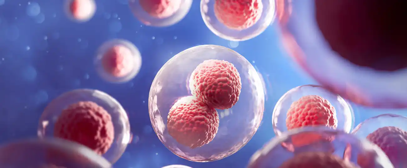 Photo : adobe stock // Anusorn Micro-organismes